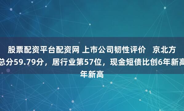 股票配资平台配资网 上市公司韧性评价   京北方总分59.79分,居行业第57位,现金短债比创6年新高